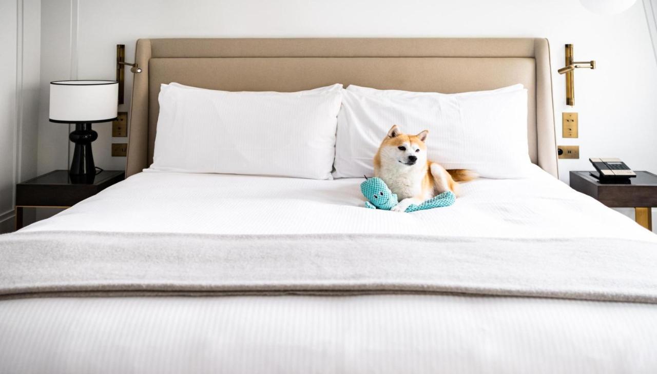 Kimpton - St Honore Paris By Ihg Eksteriør billede